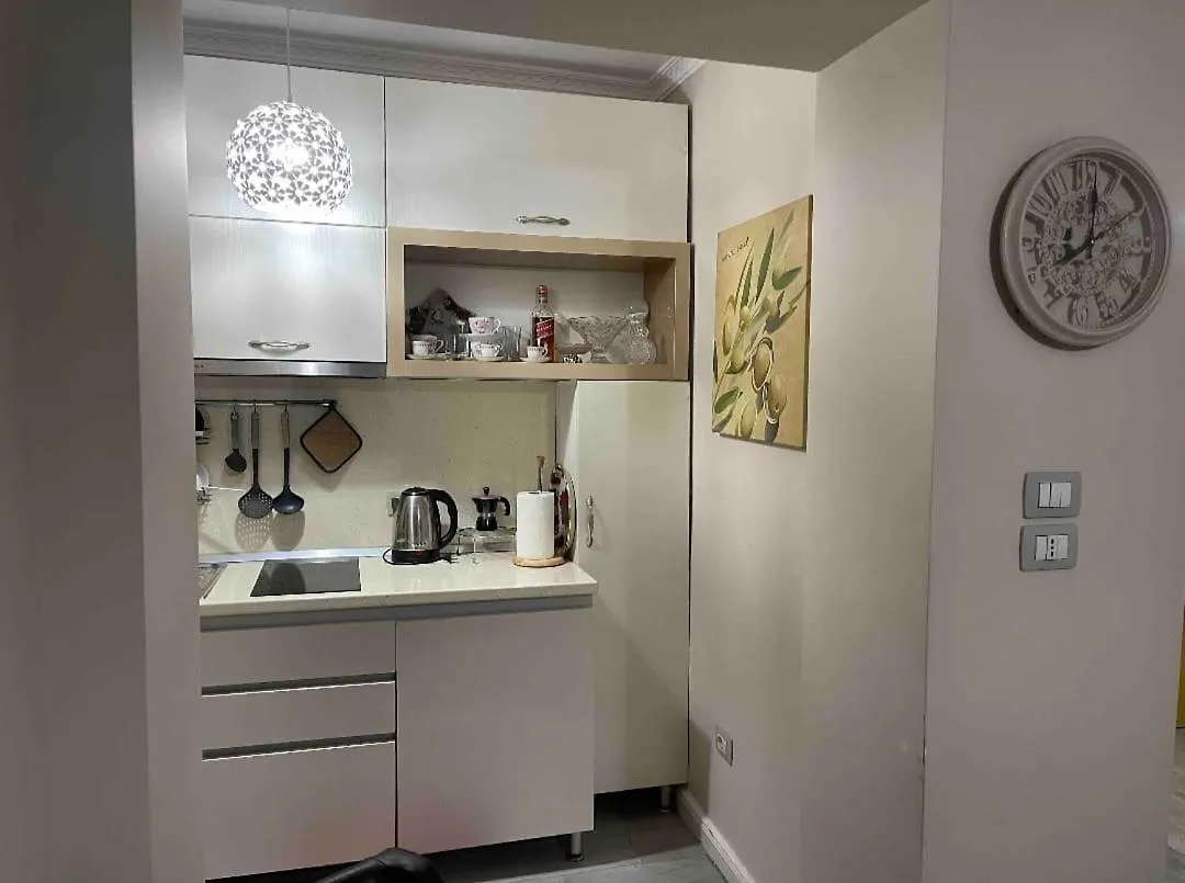 Warm Apartment In The Center Of Tirana City