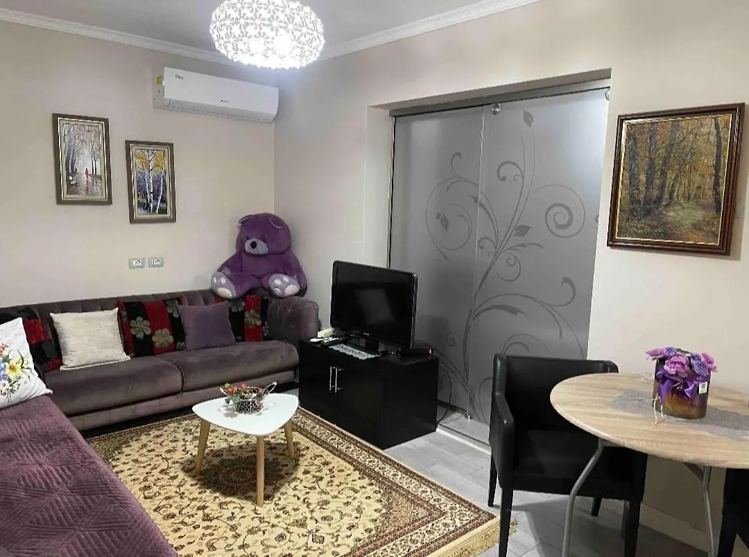 Warm Apartment In The Center Of Tirana City 0*,